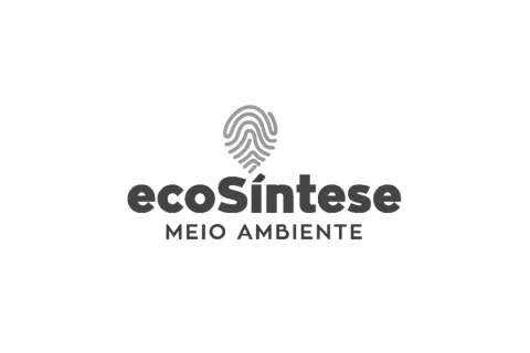 ecoSíntese Meio Ambiente